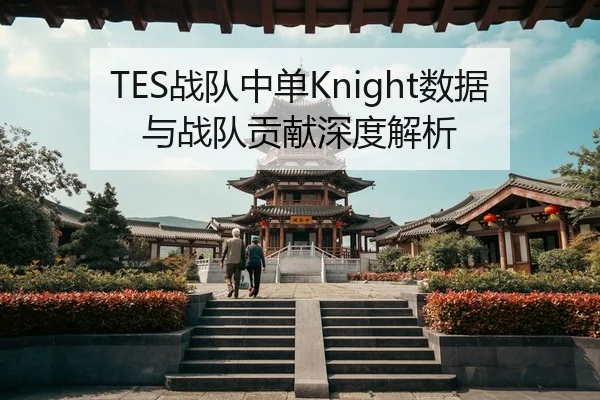 TES战队中单Knight数据与战队贡献深度解析